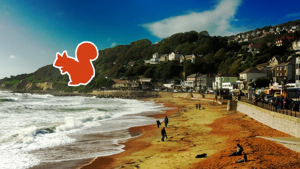 Isle of Wight beach with a bright blue sky, several tourists scattered on the beach with an orange red squirrel outline.