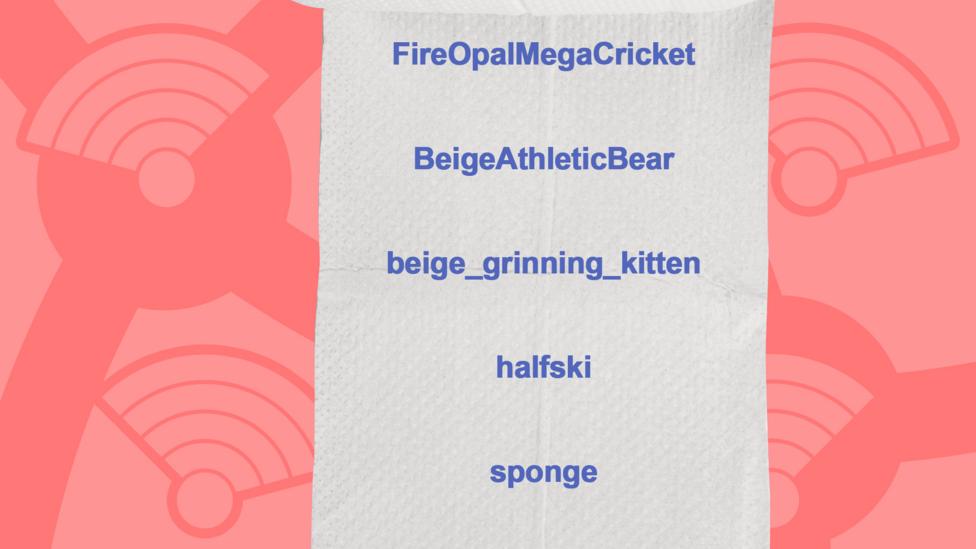A picture of a toilet roll with the names of the people who got the question right, FireOpalMegaCricket, BeigeAthleticBear, beige_grinning_kitten, halfski, sponge.