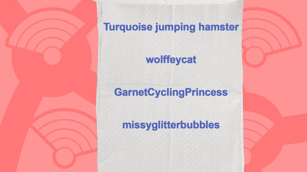 A picture of a toilet roll with the commenters who got the question right, Turquoise jumping hamster, wolffeycat,GarnetCyclingPrincess, missyglitterbubbles.