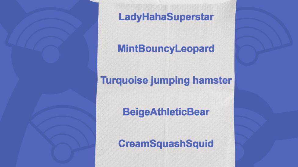 A picture of a toilet roll with the names of the people who got the question right, LadyHahaSuperstar, MintBouncyLeopard, Turquoise jumping hamster, BeigeAthleticBear, CreamSquashSquid, Turquoise Turtle.