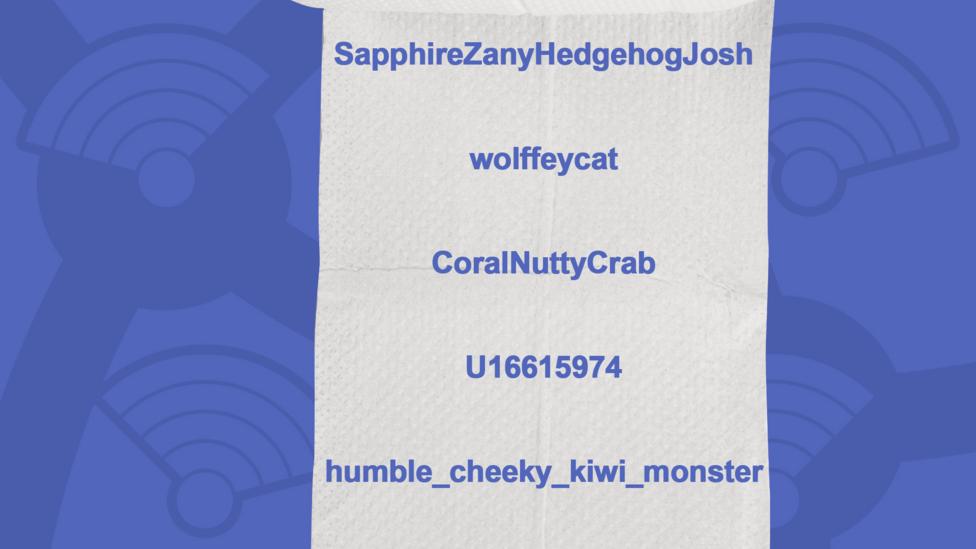 A picture of a toilet roll with the names of the people who got the question right, SapphireZanyHedgehogJosh, wolffeycat, CoralNuttyCrab, U16615974, humble_cheeky_kiwi_monster, DaJigglyBoss.