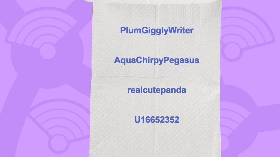 A picture of toilet roll with the names of people who got the question right, PlumGigglyWriter, AquaChirpyPegasus, realcutepanda, U16652352.