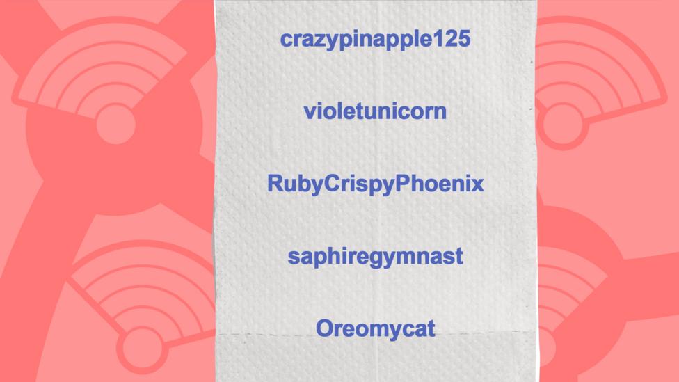 A picture of a toilet roll with the commenters who got the question right, crazypinapple125, violetunicorn, RubyCrispyPhoenix, saphiregymnast, Oreomycat.