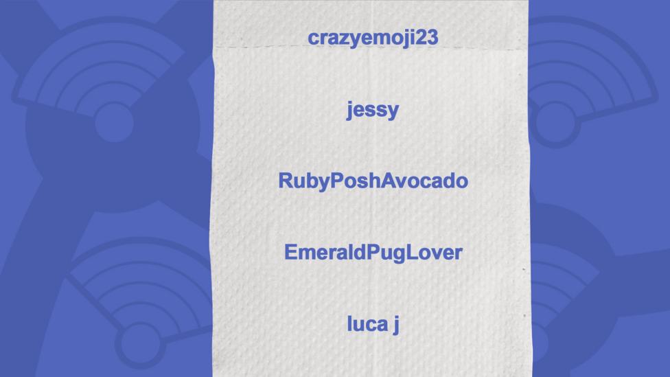 A picture of a toilet roll with the names of the people who got the question right, crazyemoji23, jessy, RubyPoshAvocado, EmeraldPugLover, luca j, Oreomycat.