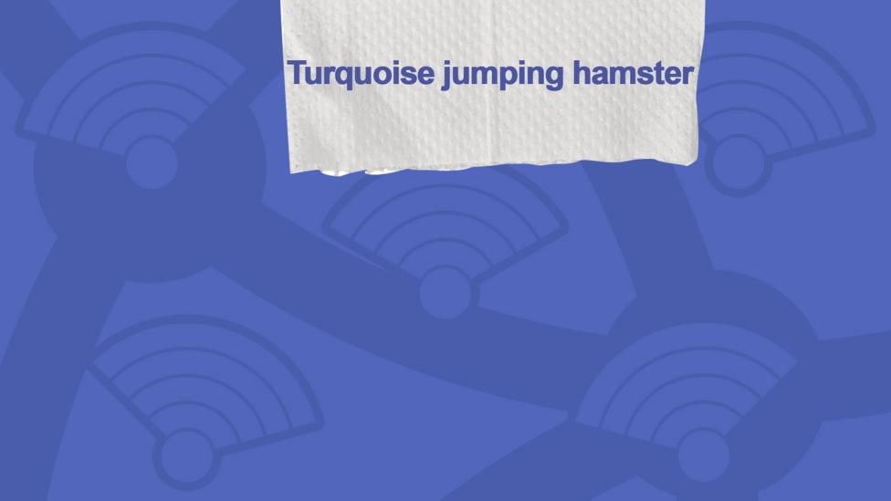 Loo Roll Call picture of usernames who got the question right, Turquoise jumping hamster.