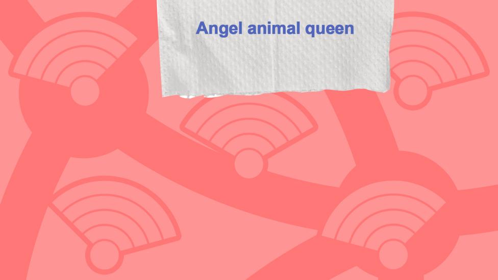 A picture of a toilet roll with the commenters who got the question right, Angel animal queen.