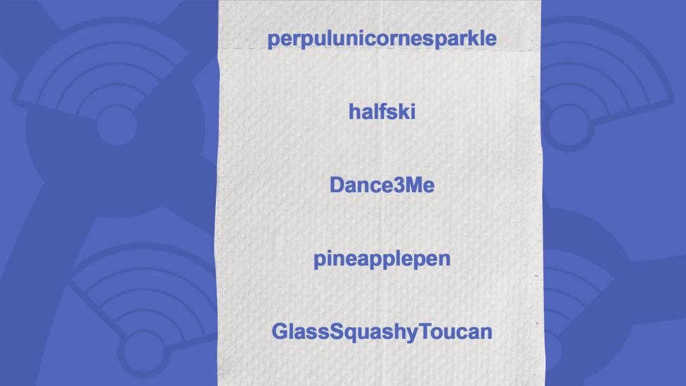 A picture of a toilet roll with the names of the people who got the question right, perpulunicornesparkle, halfski, Dance3Me, pineapplepen, GlassSquashyToucan, jessy.