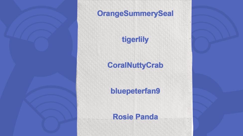 A picture of a toilet roll with the names of the people who got the question right, OrangeSummerySeal, tigerlily, CoralNuttyCrab, bluepeterfan9, Rosie Panda, SpikeEH.
