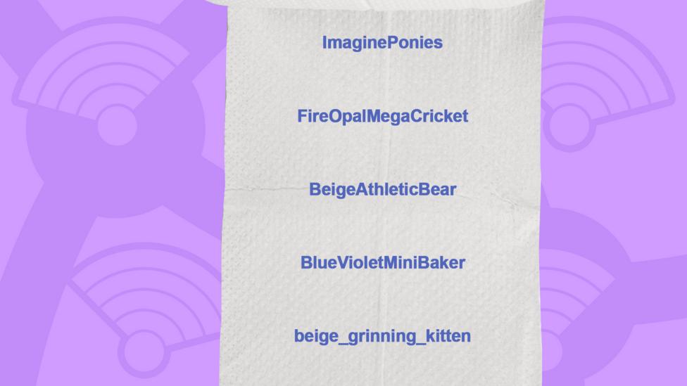 A picture of a toilet roll with the names of the people who got the question right, ImaginePonies, FireOpalMegaCricket, BeigeAthleticBear, BlueVioletMiniBaker, beige_grinning_kitten.