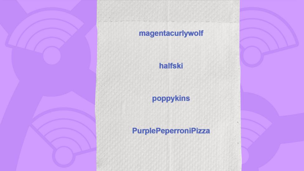 A picture of a toilet roll with the names of the people who got the question right, magentacurlywolf, halfski, poppykins, PurplePeperroniPizza.