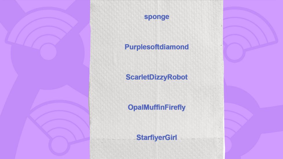 A picture of a toilet roll with the names of the people who got the question right, sponge, Purplesoftdiamond, ScarletDizzyRobot, OpalMuffinFirefly, StarfiyerGirl.