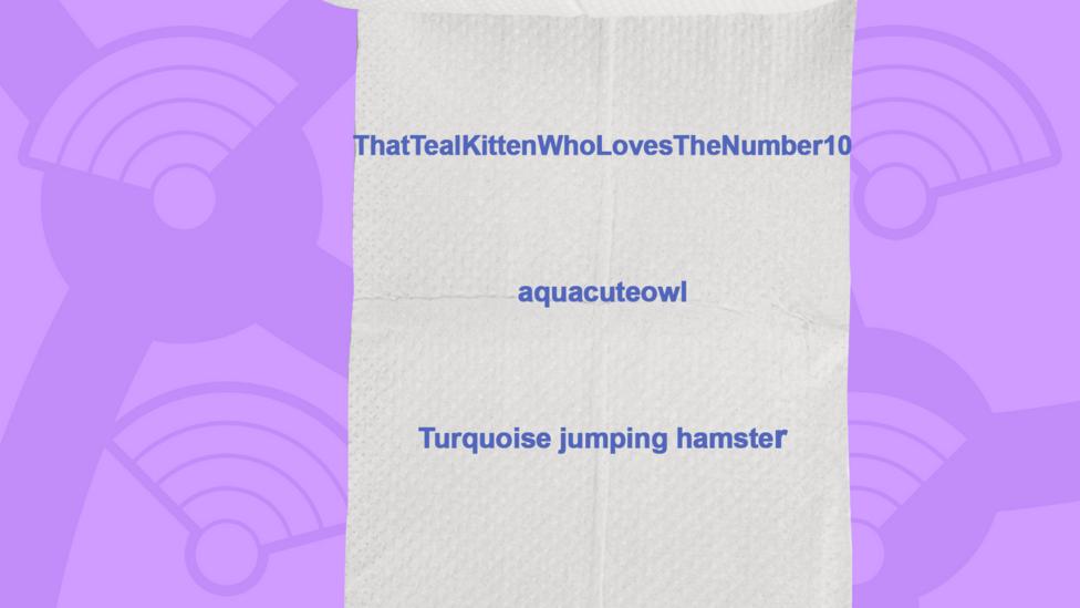 A picture of a toilet roll with the names of the people who got the question right, ThatTealKittenWhoLovesTheNumber10, aquacuteowl, Turquoise jumping hamster.