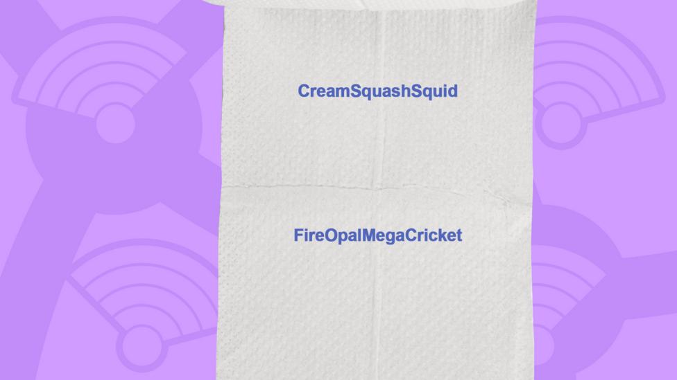 A picture of a toilet roll with the names of the people who got the question right, CreamSquashSquid, FireOpalMegaCricket.