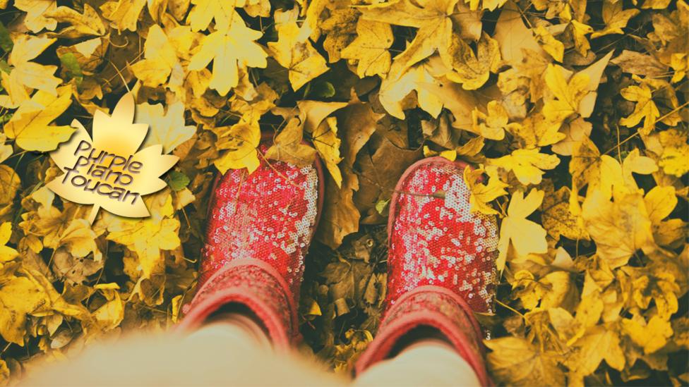 A number of autumnal images with audience usernames superimposed on to the top.