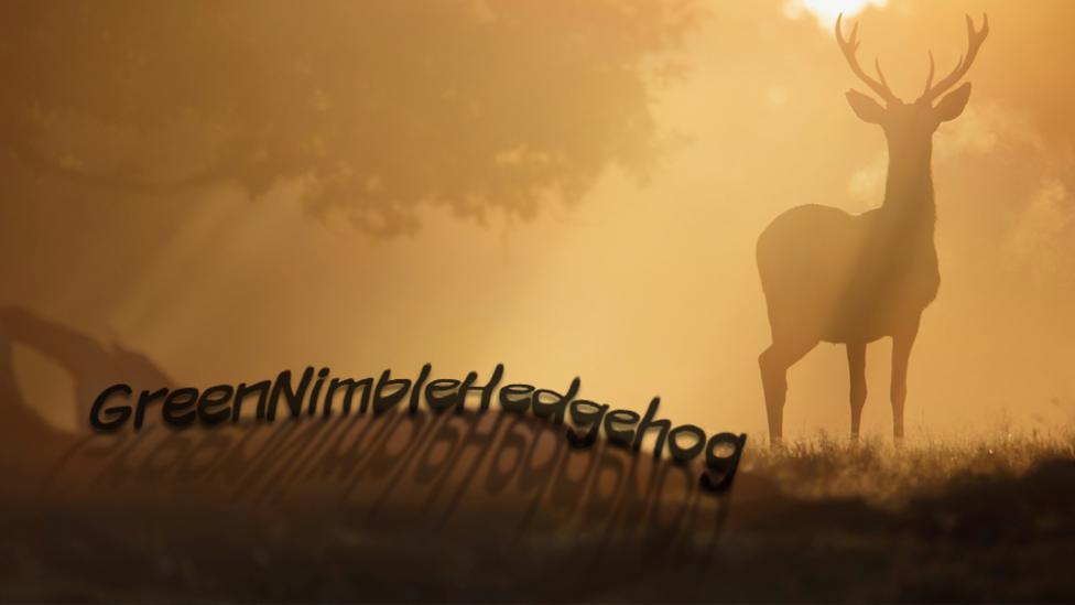 A number of autumnal images with audience usernames superimposed on to the top.