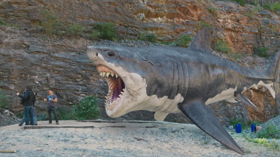 Click to watch Steve Backshall talk about the megalodon.