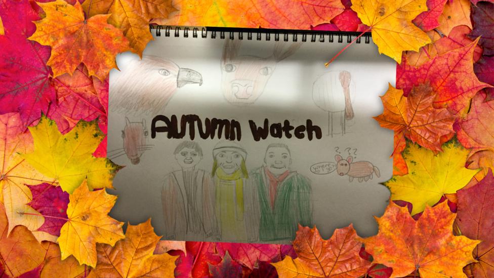 Autumnal photos sent in by the CBBC audience.