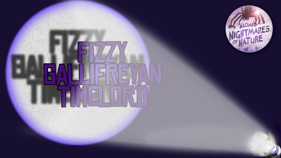 A spotlight shines on a child's username, casting a shadow behind.