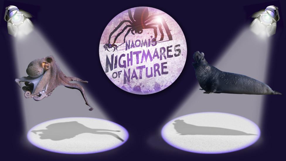 2 shadows of mystery creatures in a spotlight.