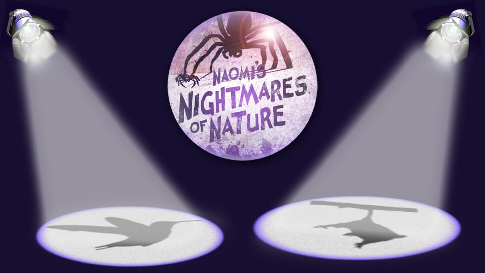 2 animal shadows within a spotlight.