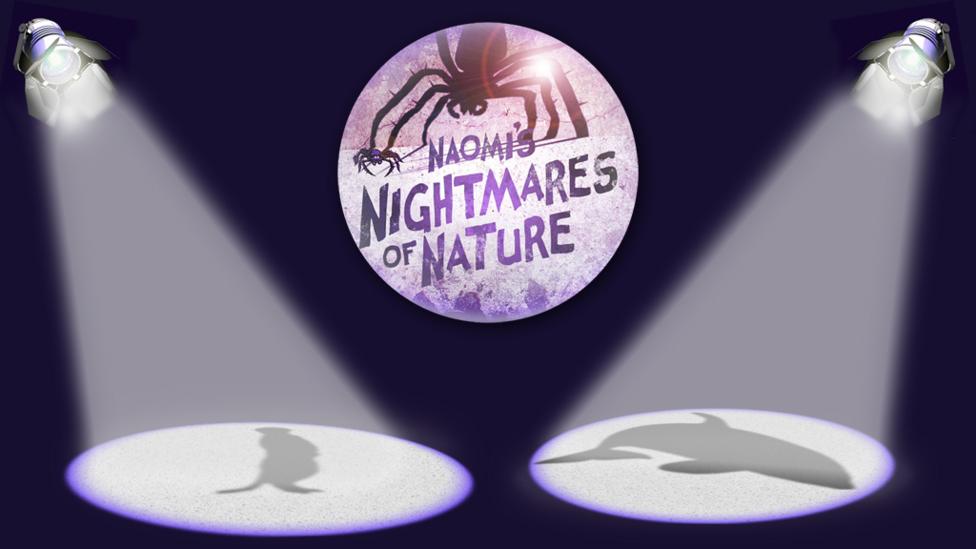 2 animal shadows within a spotlight.