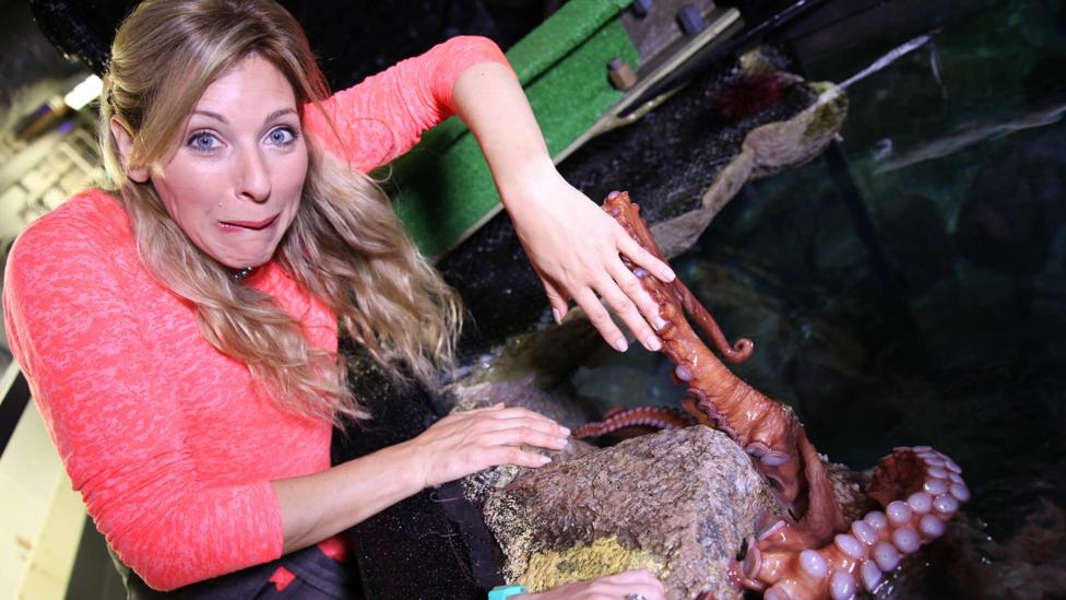 A woman with a pink top, looks shocked as she has her hands in a water tank with an octopus wrapping it's tentacles around her hand. (Naomi).