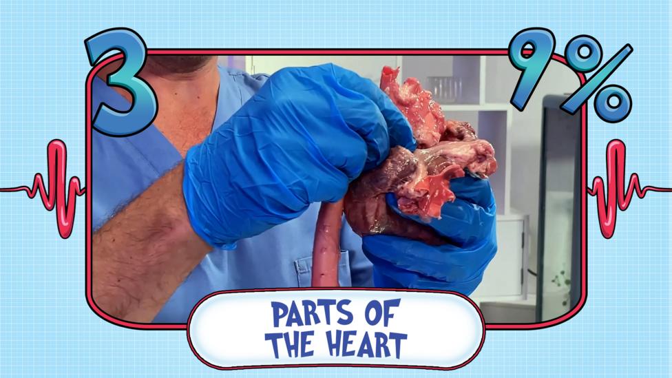 An image of hands wearing blue gloves holding a heart. The text below reads "Parts of the heart" and above the image in the top left is the number 3, across from that is 9%.