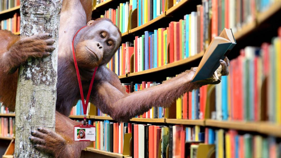 If teachers were animals...