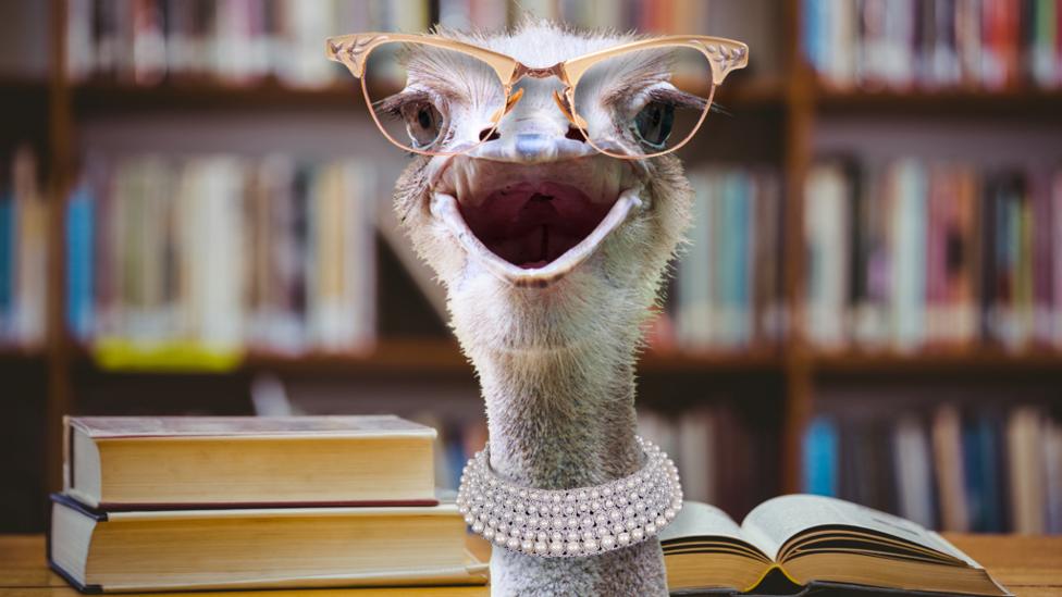 If teachers were animals...