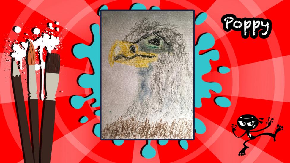 An eagle created using pastels, sent in by poppy.