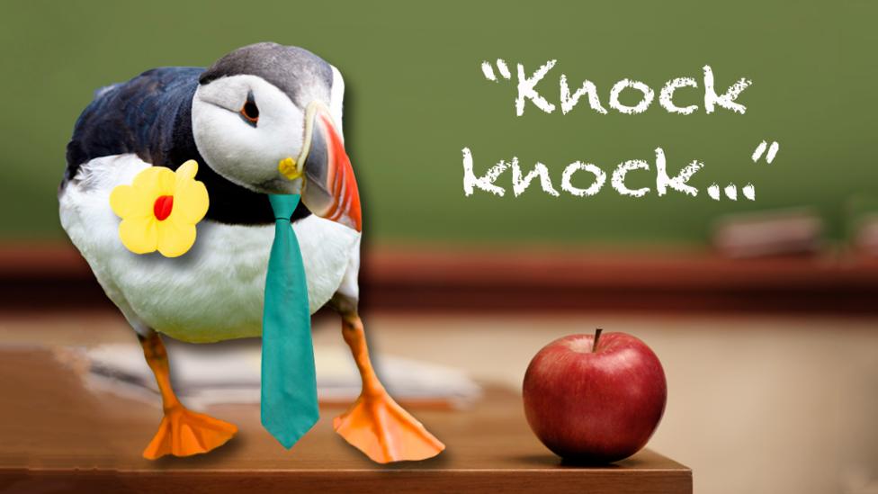 If teachers were animals...