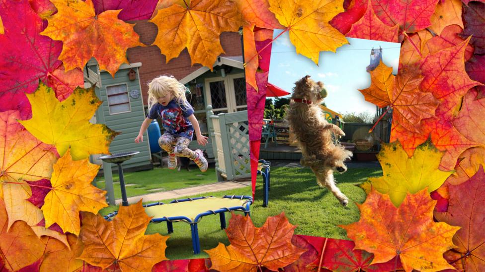 Viewers' photos of them jumping into the air.