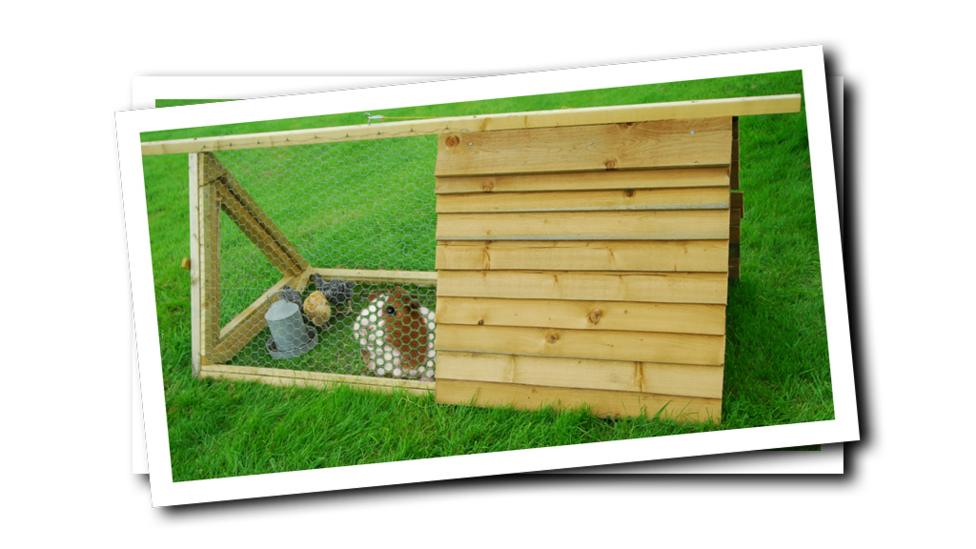 Guinea pig in a hutch on the grass.