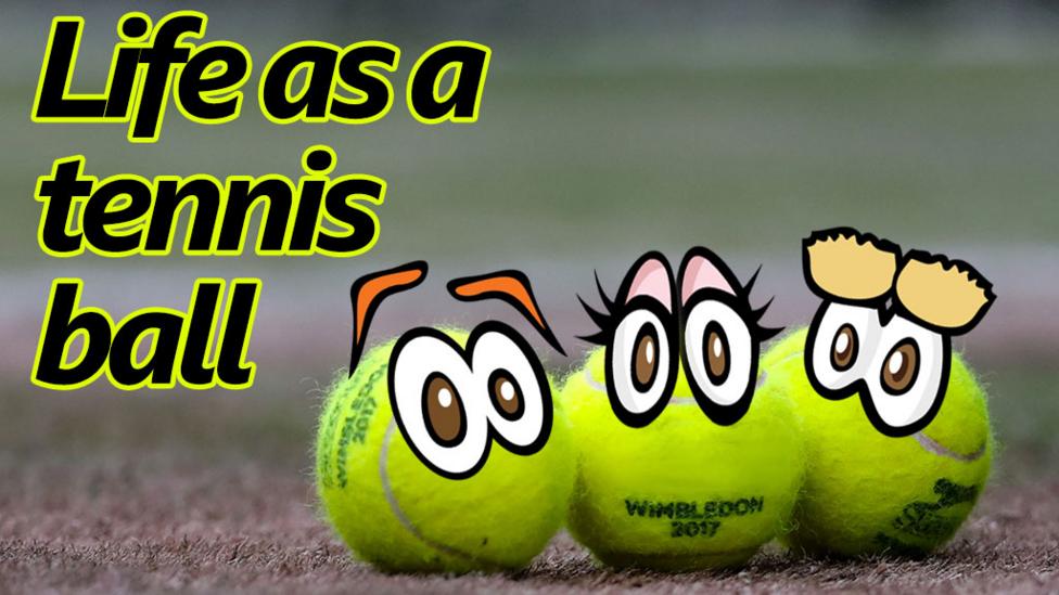 SPT- life-as-a-tennis-ball-titles