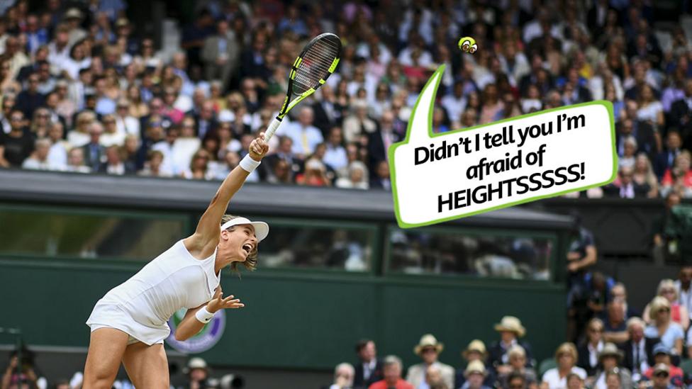 Life as a tennis ball- group of funny images