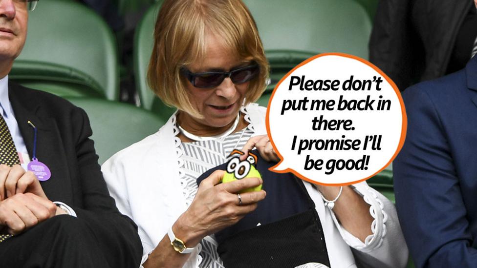 Life as a tennis ball- group of funny images