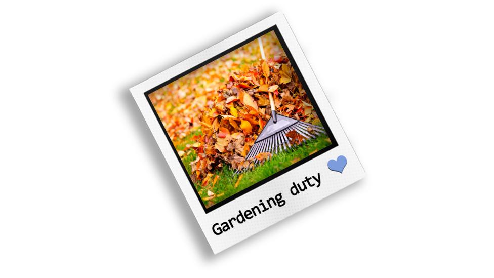 A polaroid image of raking leaves from the grass.