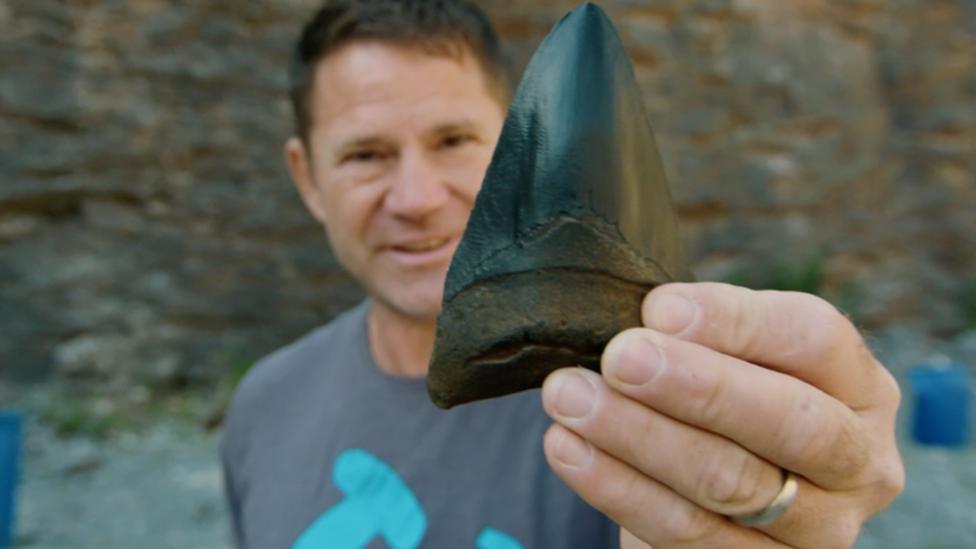 Steve Backshall holding a large Megalodon tooth fossil.