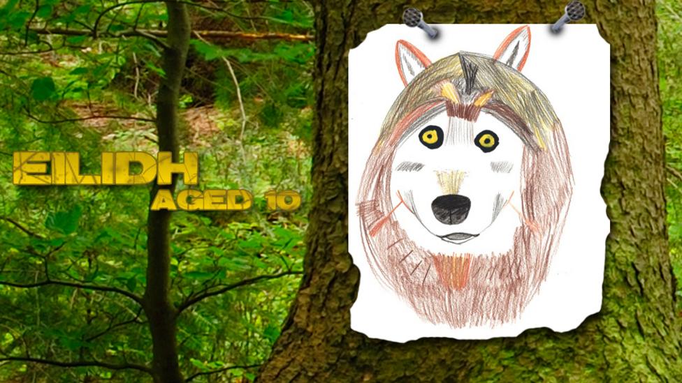 UGC wolves