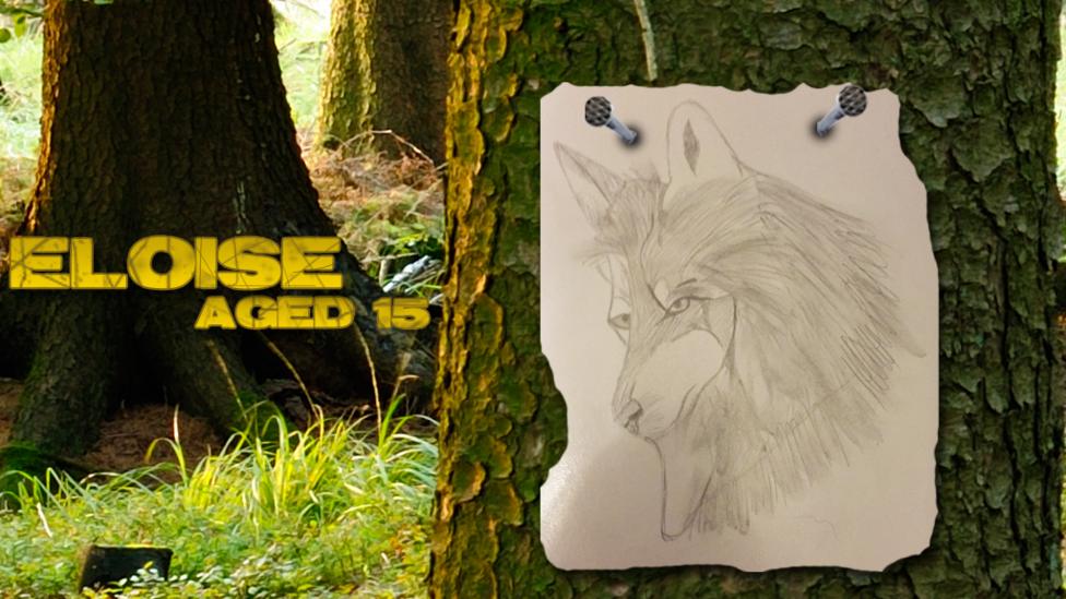 UGC wolves