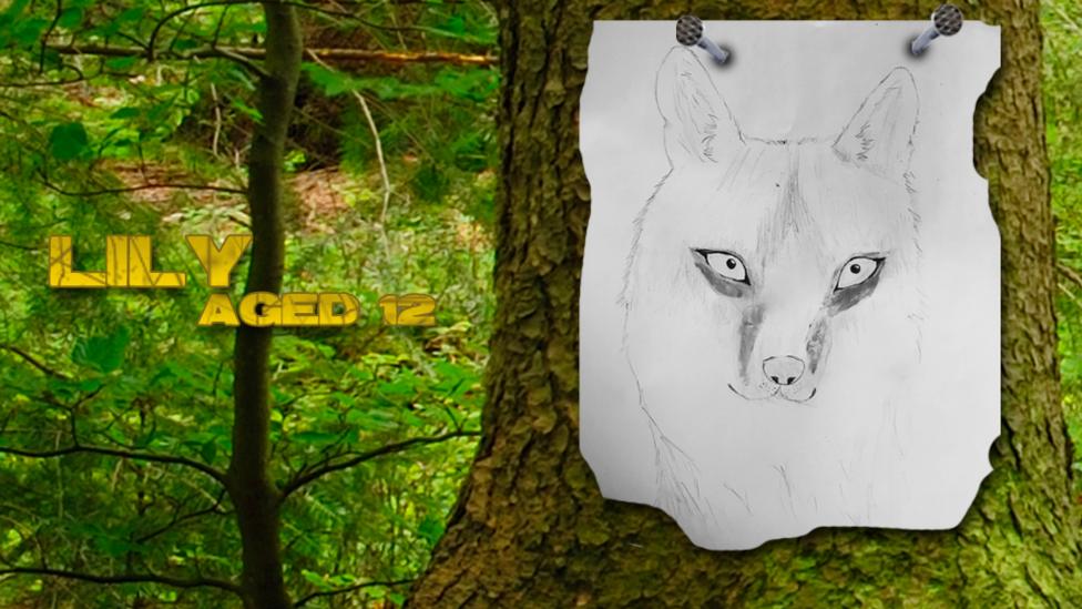 UGC wolves