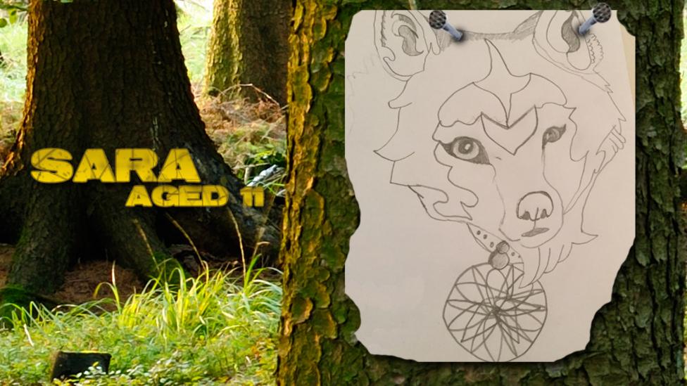 UGC wolves