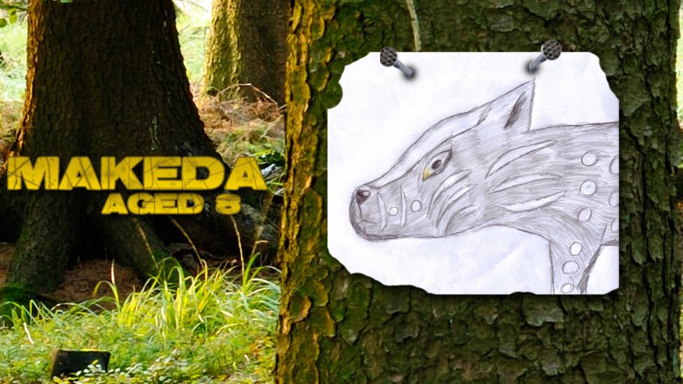 Wolfblood UGC