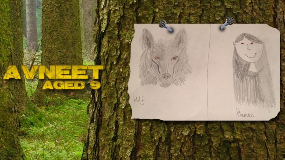 Wolfblood UGC