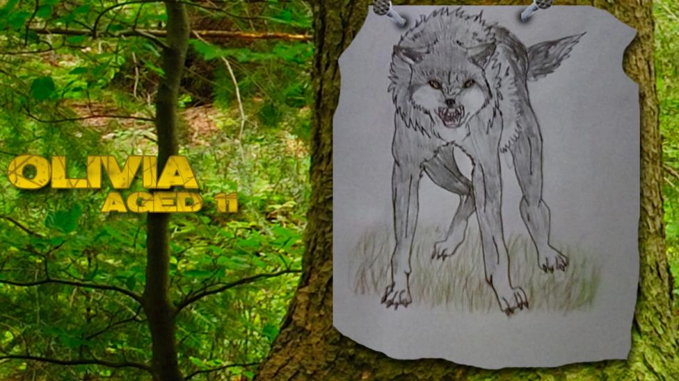 Wolfblood UGC