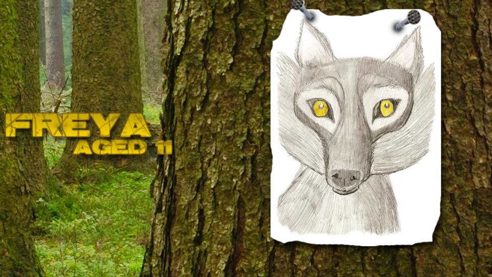 Wolfblood UGC