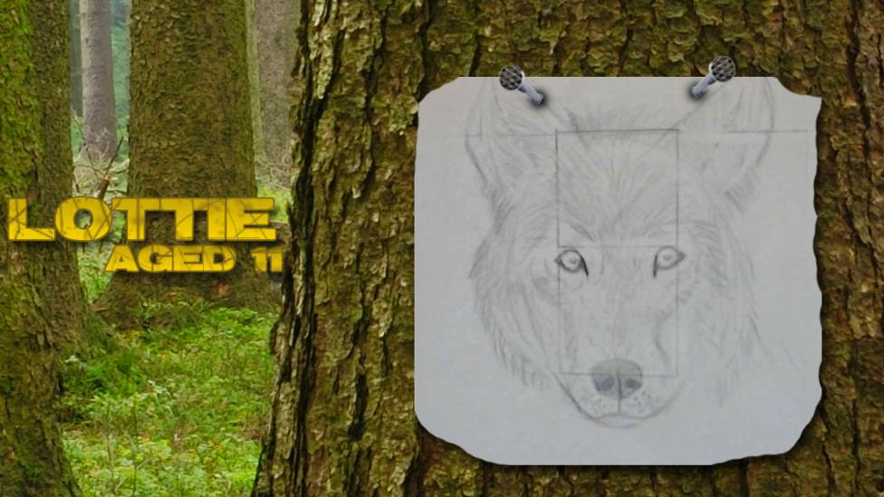 UGC wolves
