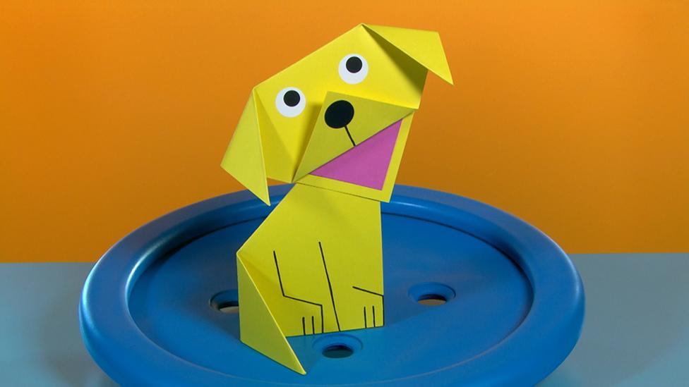 folded square dog make