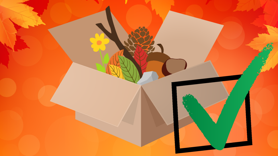 Box of miscellaneous Autumn items next to a large green tick in a box on an autumnal background