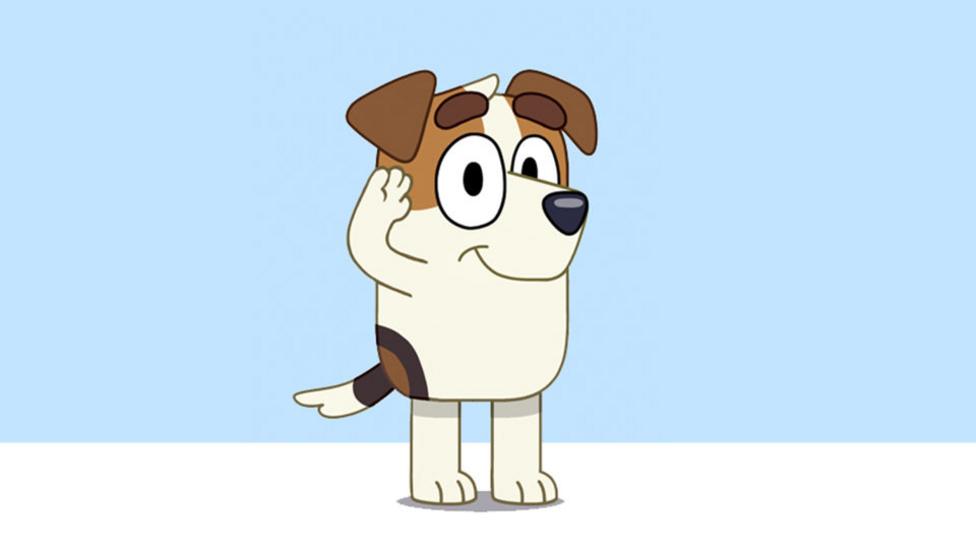 A white and brown rumpled cartoon Jack Russell terrier puppy.